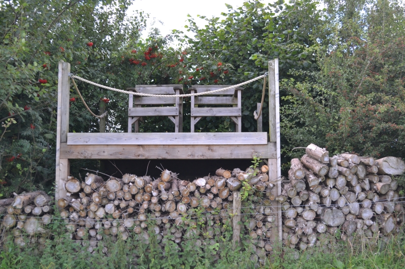 Old Quarrington Gardens Durham NGS Gardens